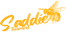 Saddie